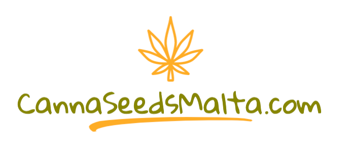 Buy the Best Seeds on the Market